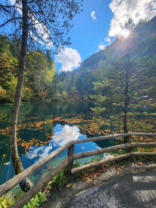 A Fairy Tale Forest Does exist!