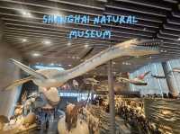 Natural history museum# ใครมาเซี่ยงไฮ้ห้ามพลาด