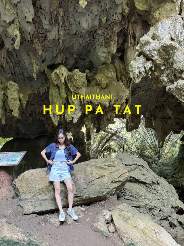 เที่ยวธรรมชาติสุดลึกลับ ที่ “หุบป่าตาด” 🌲