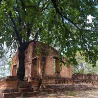เที่ยววัดเก่า วัดสีกาสมุด วัดร้าง เมืองอยุธยา