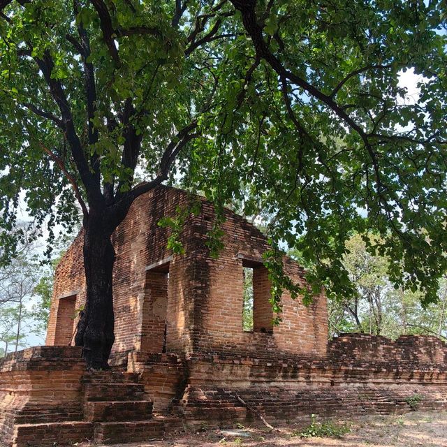 เที่ยววัดเก่า วัดสีกาสมุด วัดร้าง เมืองอยุธยา