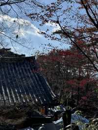 慶州佛國寺｜山腰上的世界遺產⏳