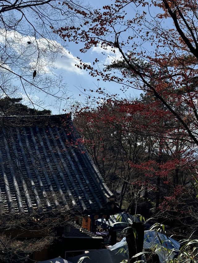 慶州佛國寺｜山腰上的世界遺產⏳