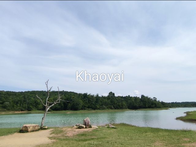 เที่ยวเขาใหญ่