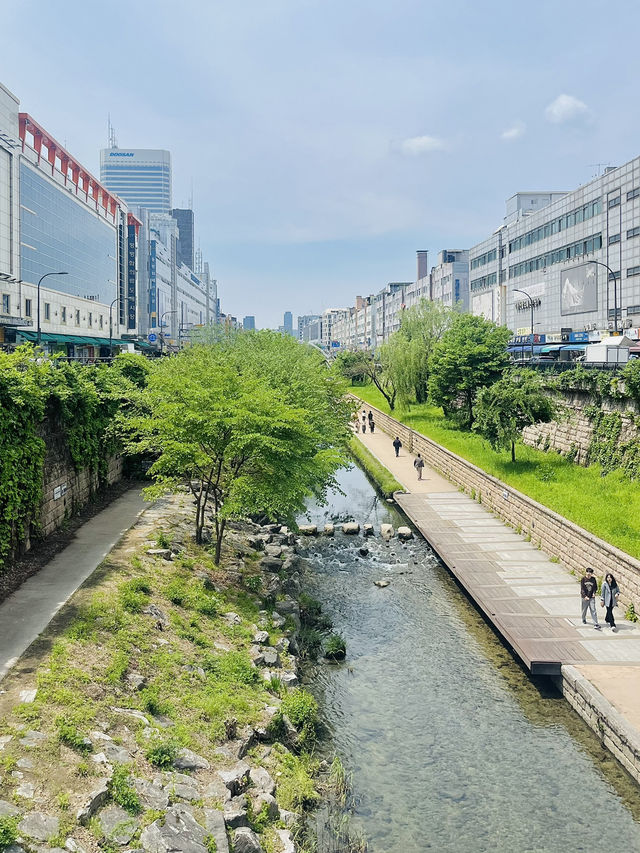 여유롭게 산책하기 좋은 서울의 청계천 💙