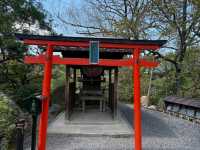 Rock Garden Feels at Ryoanji
