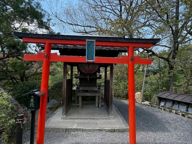 Rock Garden Feels at Ryoanji