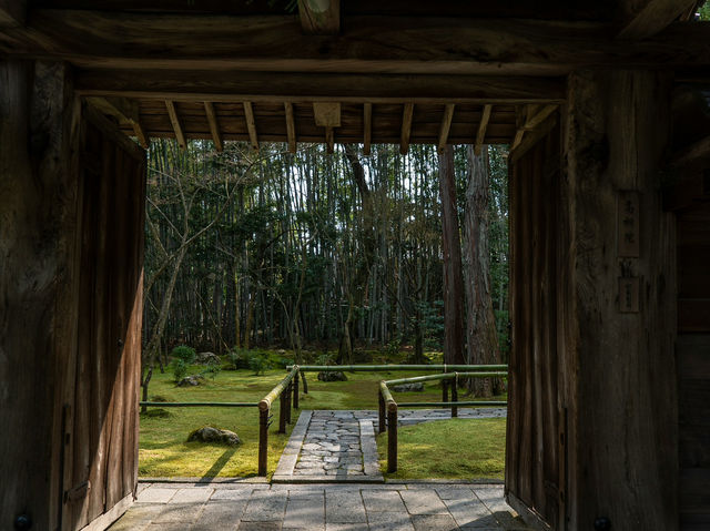 Kyoto – Where Blossoms Breathe Through Ancient Streets