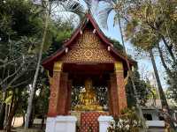Peaceful Mornings at Wat Sop Sickharam: A Hidden Gem in Luang Prabang
