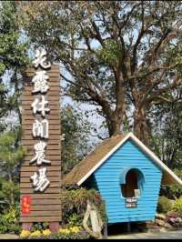 在全台首座精油博物館聞精油看繡球花海