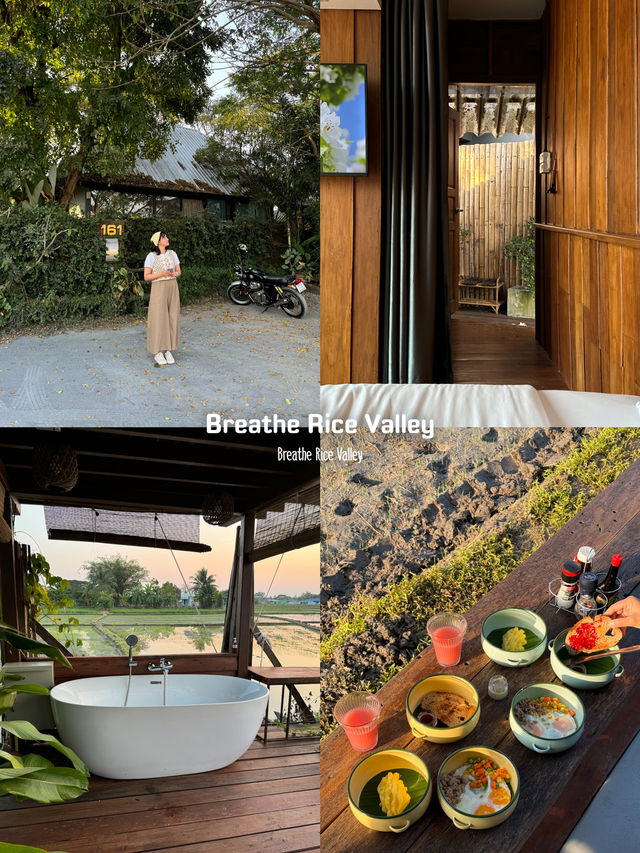 13 พิกัดเที่ยวรอบเมือง จ.เชียงใหม่ 🏡⛰️🌤️🐶