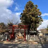 Just an Hour from Osaka: A Charming World of Deer, Temples & Tranquility