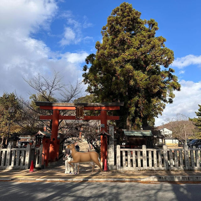 Just an Hour from Osaka: A Charming World of Deer, Temples & Tranquility