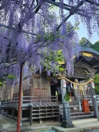 【山口グルメ】道の駅おふく・西八幡宮