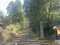  福井：冷門的白山神社探險🍃⛩️