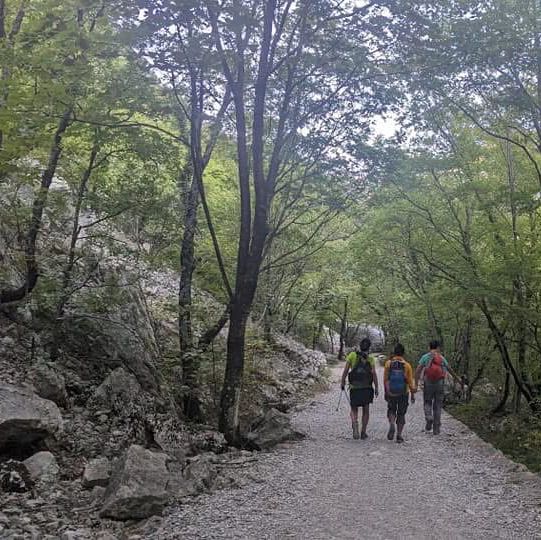 Day Among Cliffs and Pines – Paklenica National Park