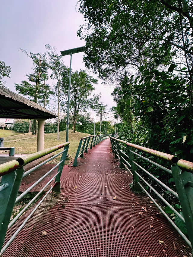 Play, Pause, and Panorama – Discover Taman Tasik Cyberjaya!
