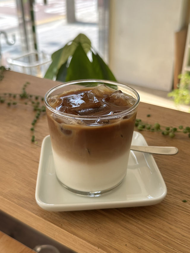 자연친화적인 감성카페 보리수🌱
