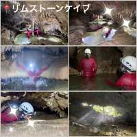 意外と知られていない！沖永良部島の魅力発見👀