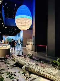 Time Changes Gallery: Cultural Tapestry of Sarawak Indulgence