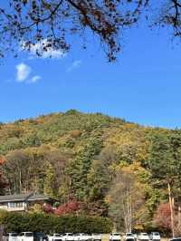 東京｜交通攻略｜河口湖｜追尋富士山的最佳路徑