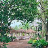 ร้านอาหารเหนือเมืองแปดริ้ว