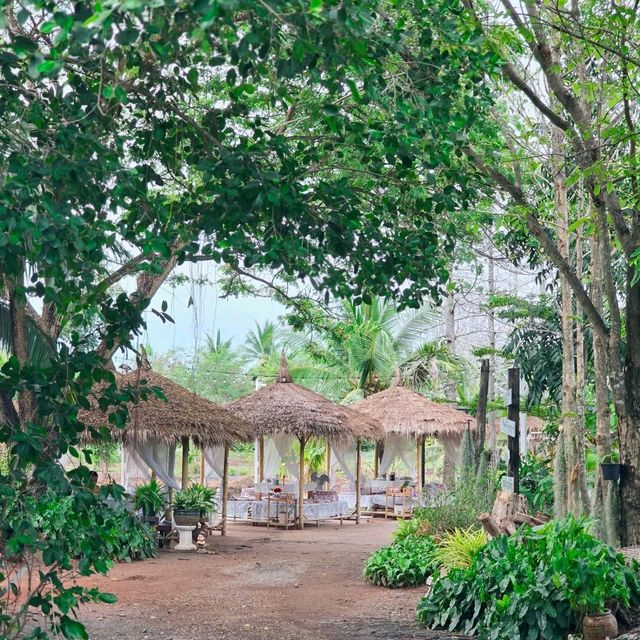 ร้านอาหารเหนือเมืองแปดริ้ว