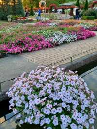 CHILLING WITH COLOURFUL BLOOMS ALL AROUND - CAN'T COMPLAIN 