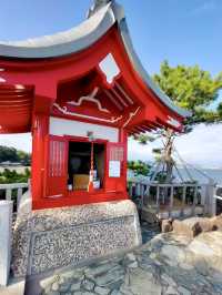 Local Wandering in Kōchi – Castles, Coastlines & Quiet Moments