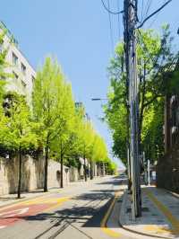 Seorae Village: A Slice of France in Seoul