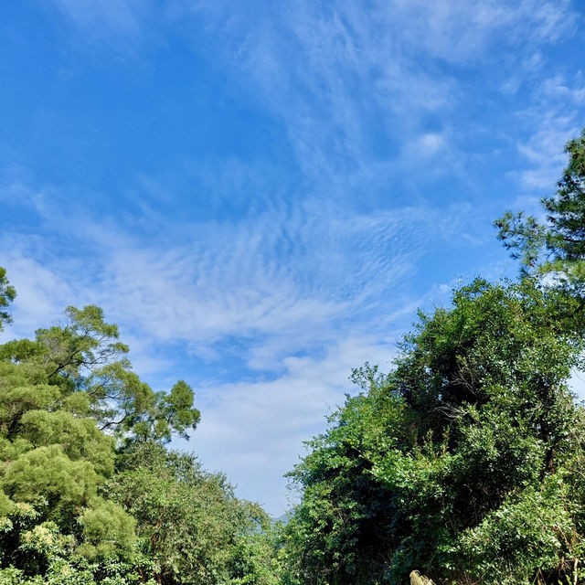 流水響水塘：天空之鏡的自然秘境 🏞️