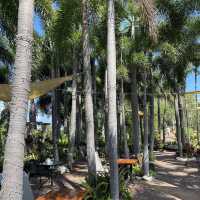 City coffee PATTAYA วิวปูซาน