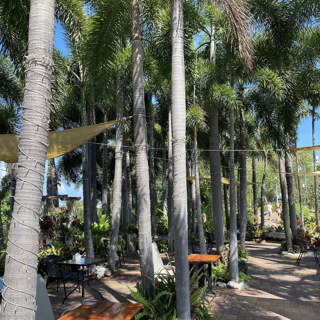 City coffee PATTAYA วิวปูซาน