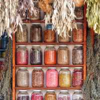 Marrakech’s Secret Spring Gardens