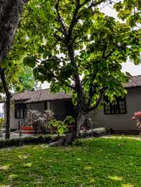 Premium accommodation in Chitwan area