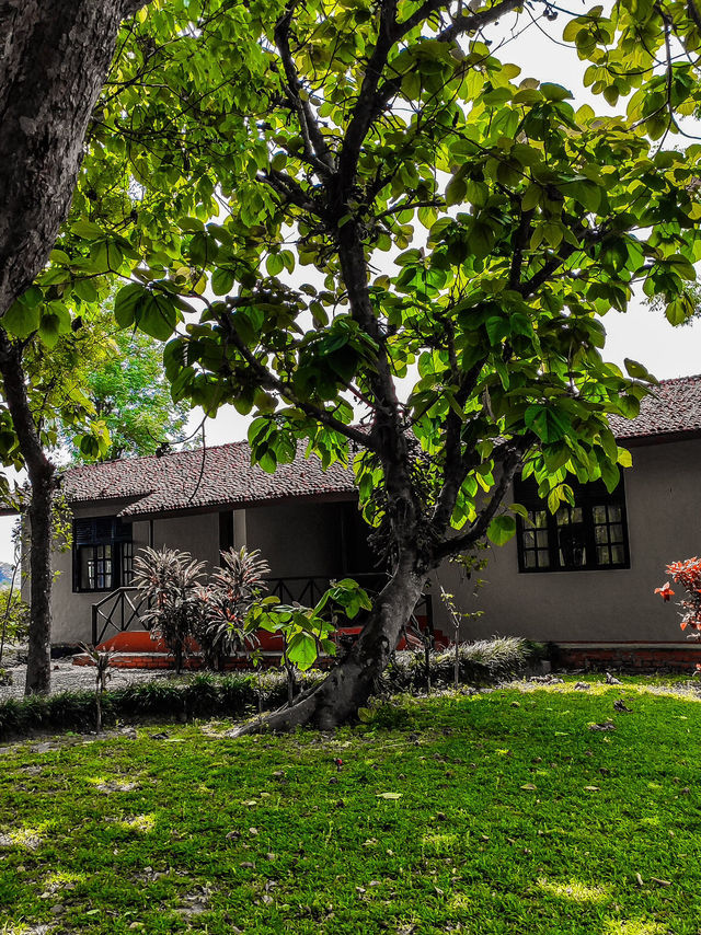 Premium accommodation in Chitwan area