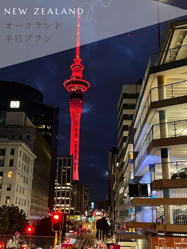 【NZ】✈️オークランド到着日の半日プラン🇳🇿
