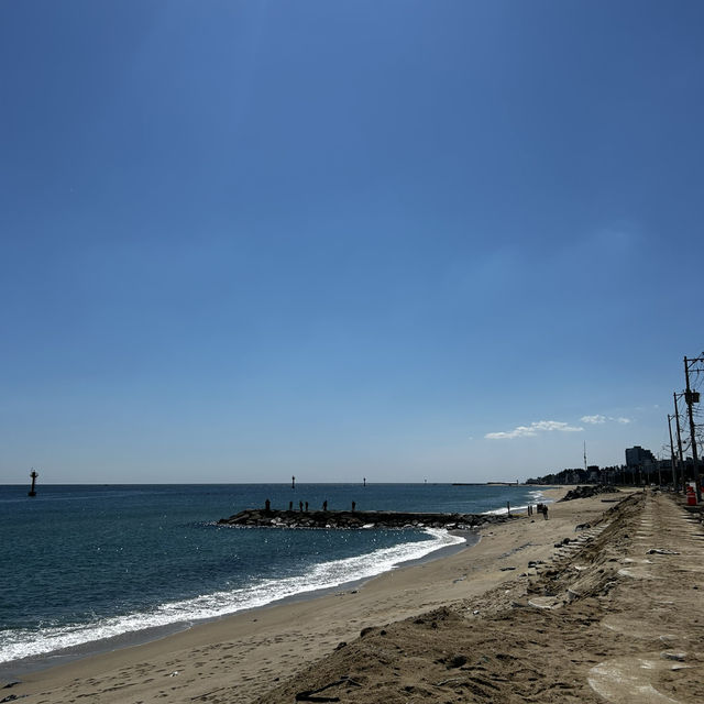 ソウルからKTXで片道2時間の日帰り江陵(カンヌン)旅行✨