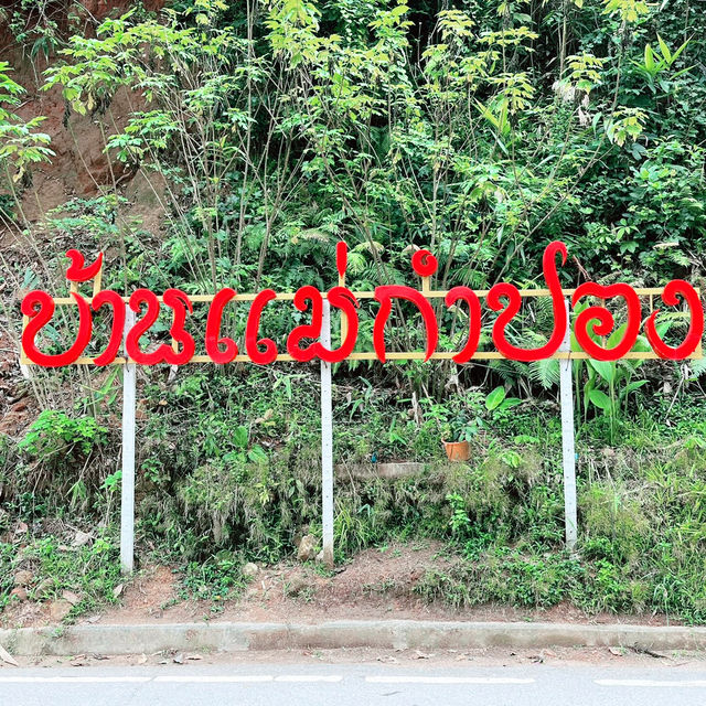 ท่องเที่ยวยอดฮิต : หมู่บ้านแม่กำปอง