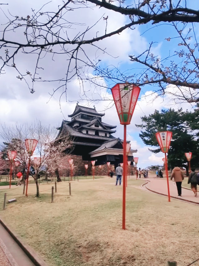 Samurai Petals at Matsue Castle