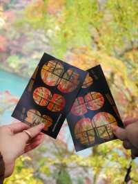 🍁ซักครั้งในชีวิต ฤดูใบไม้เปลี่ยนสี ต้องมาที่นี่!🍂