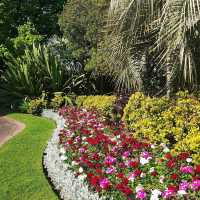 Springtime Beauty at Fitzroy Gardens, Melbourne
