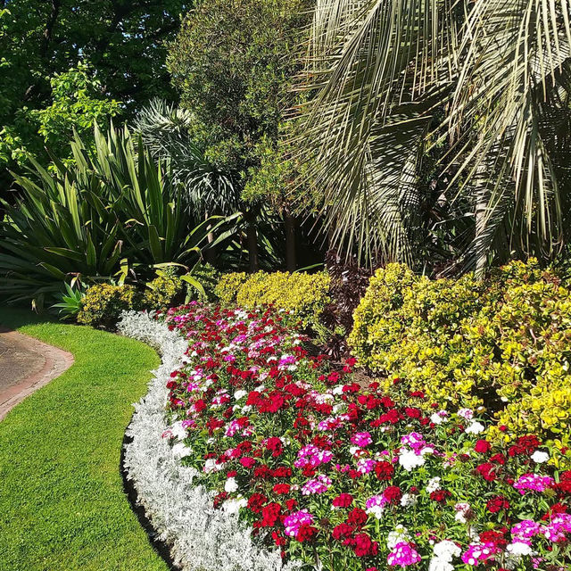 Springtime Beauty at Fitzroy Gardens, Melbourne