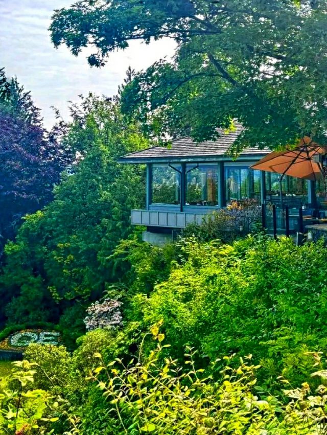 Queen Elizabeth Park – Vancouver’s Elevated Garden Sanctuary
