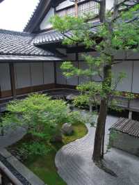【行く前にこれ見て】名勝庭園を彩る翠の絨毯！心静かに新緑の美を味わう🌿✨※周辺観光情報付