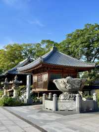 Relaxed Wandering in Takamatsu – Temples, Views & Architecture