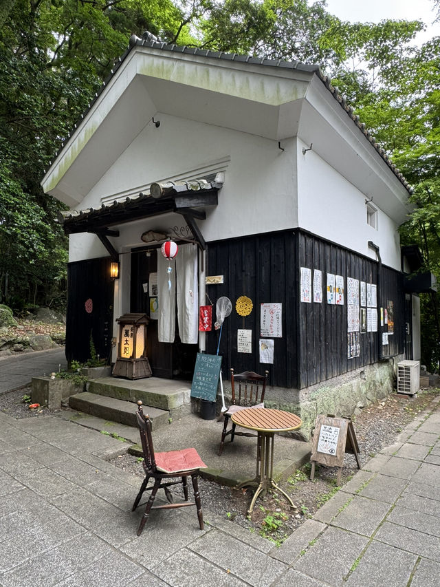 【大分旅行】別府では有名なパワースポット⛩見どころが多い神社⛩