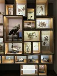 Mundane knowledge made appealing and interesting 
