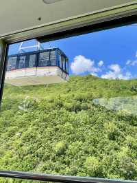 An Active Day Exploring Kurobe Dam & Murodo