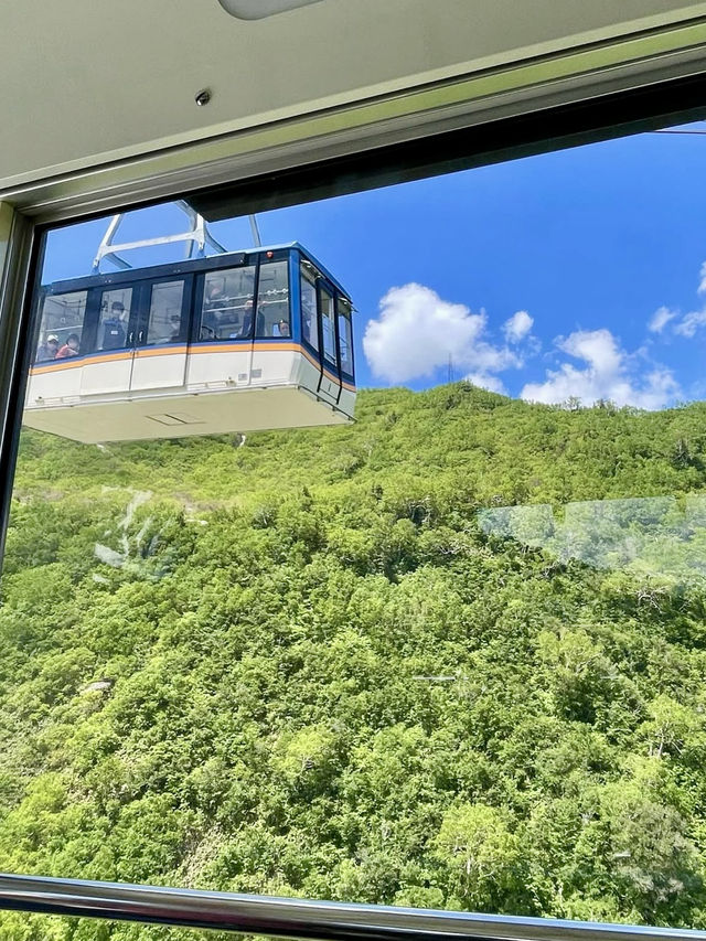 An Active Day Exploring Kurobe Dam & Murodo